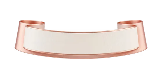 Elegant Rose Gold Curved Ribbon Banner
