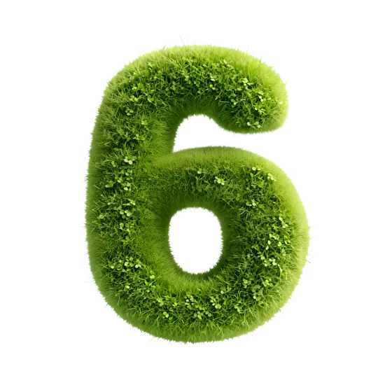 Lush Green Grass Number Six Isolated