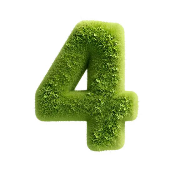 Lush Green Grass Number Four Isolated