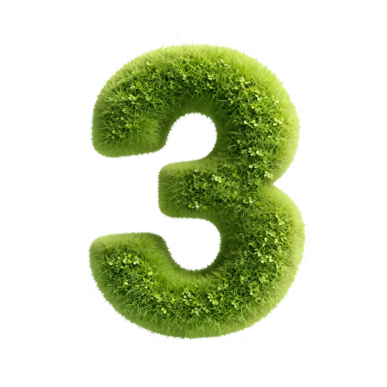 Lush Green Grass Number Three Isolated