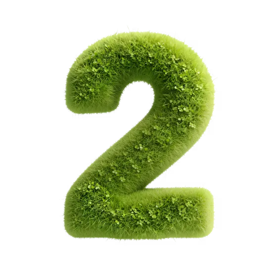 Lush Green Grass Number Two Isolated