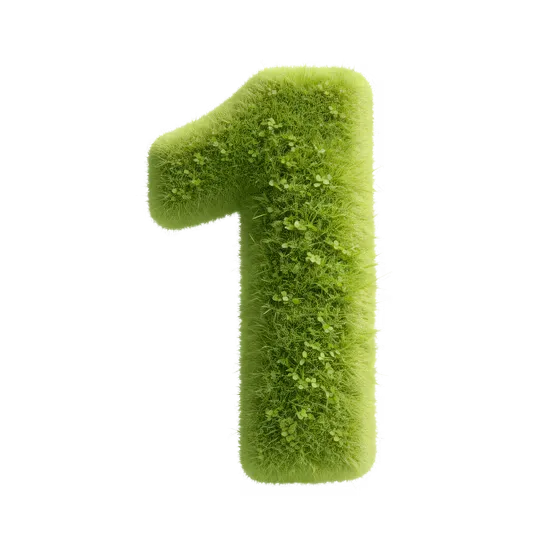 Lush Green Grass Textured Number One Isolated