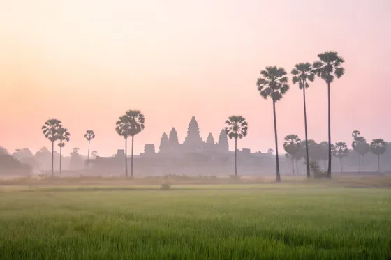 Sunrise Mist over Majestic Angkor Wat