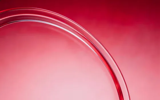 Modern Red Gradient Abstract Curved Elements