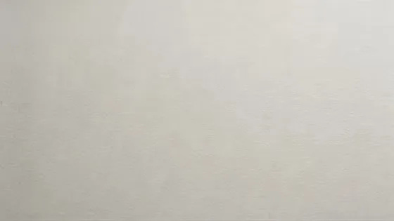 Light Grey Textured Paper Background Surface