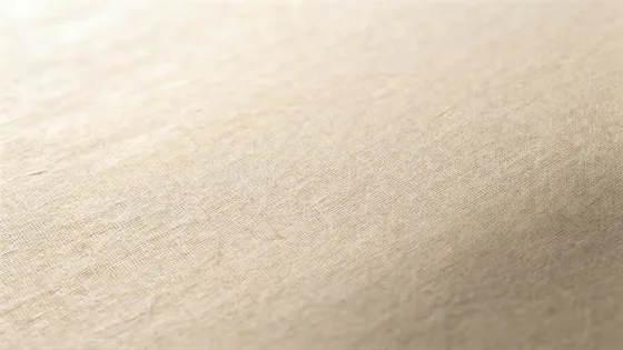 Light Beige Natural Fabric Textured Background