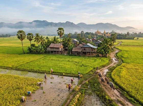 Scenic Village Rice Fields Mountain Temple