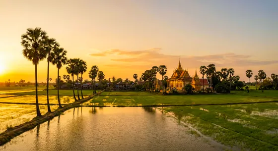Golden Sunset Cambodian Temple Rice Fields