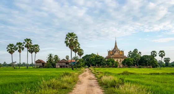 Rural Cambodian Countryside Temple Rice Paddies