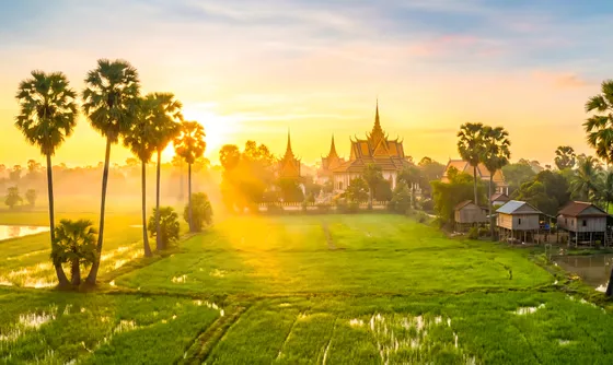 Traditional Khmer countryside village with rice fields and buddhist temple