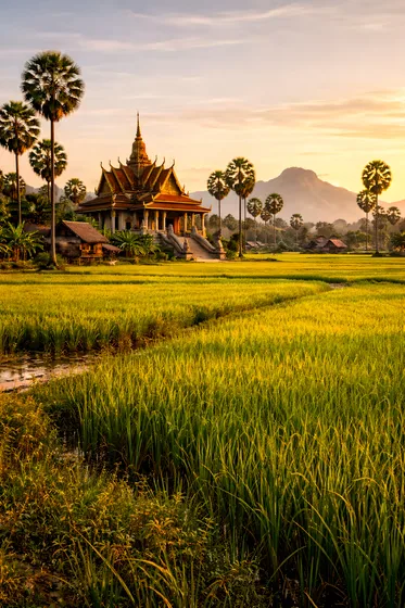 Small Building In A Field With Palm Trees