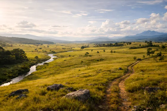 Grassy Field With River Running Through It