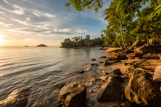 Beach With Rocks And Trees On The Shore