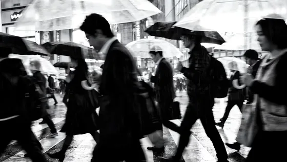 Group Of People Walking Down A Street Holding Umbrellas