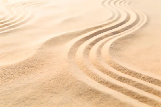 Sand Dune With Small Bird On Top