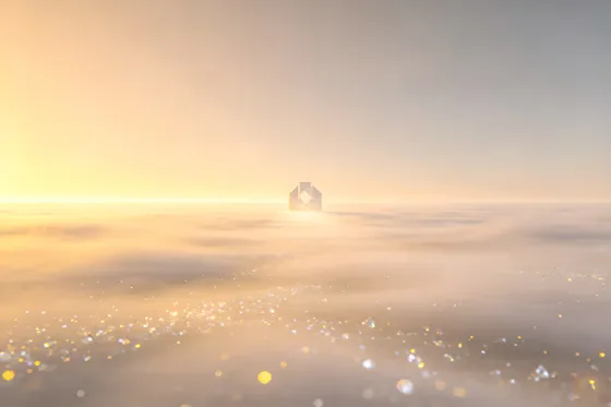 Man Standing In A Foggy Field