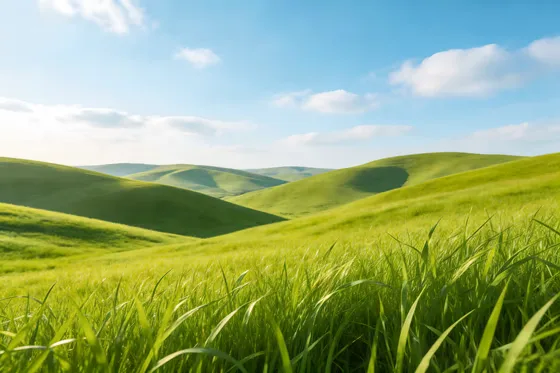 Green Hills And Blue Sky
