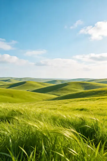 Field Of Green Grass With Blue Sky In The Background