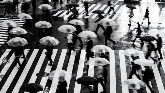 Group Of People Crossing A Street With Umbrellas