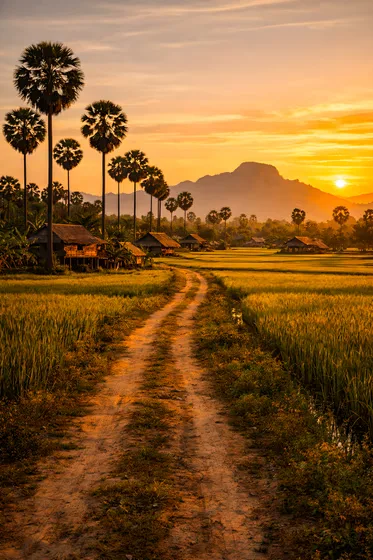 Village In A Rice Field