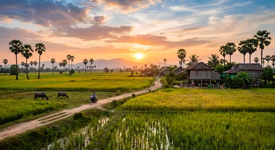 Dirt Road Leading To A Small Village