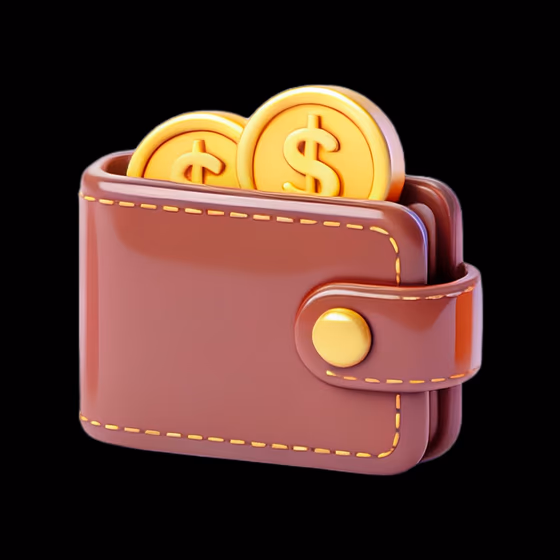 Wallet Gold Coins Financial Money Icon