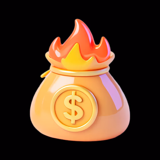 Financial Success Burning Money Bag Icon